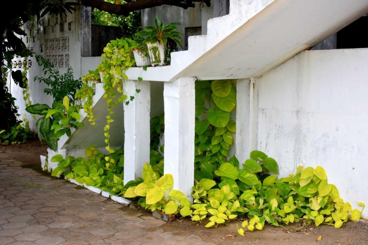 Old Park Villa จาฟนา ภายนอก รูปภาพ